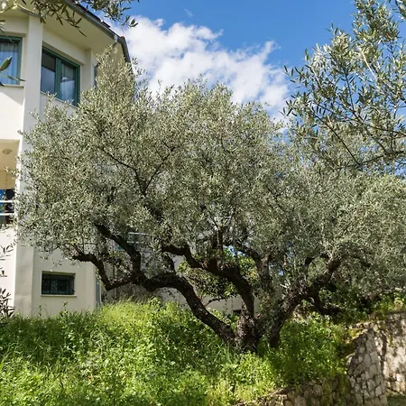 Апартаменты Fagias Luxury Apartment, By Zantewize Agia Marina (Zakynthos)